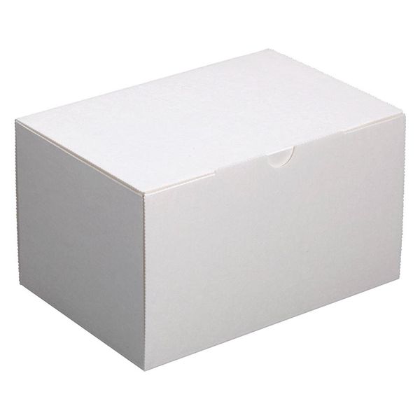 ヤマニパッケージ  ケーキ箱 エコ洋生105 #5 20-222 300箱(25箱×12)（直送品）