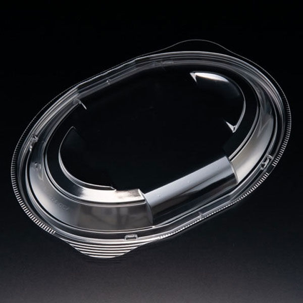 リスパック バイオデリカ サラエル D24 OCA RHBL260 1袋(50個)（直送品）