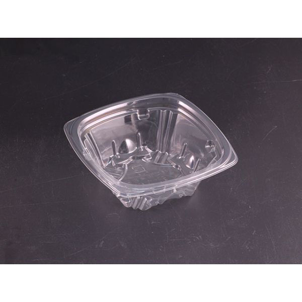 リスパック サラダ容器 ニュートカップ エコハ10-40B PYBL870 1袋(50個)（直送品）