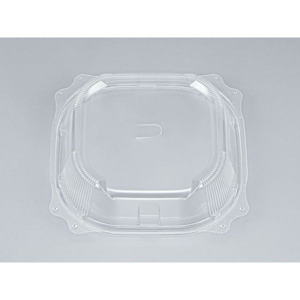 TNランチ丼17 シーピー化成