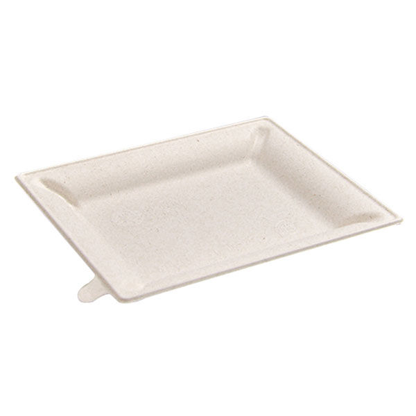 パックスタイル バガス容器 WBプレート 20-17 639720 1袋(50個)（直送品）