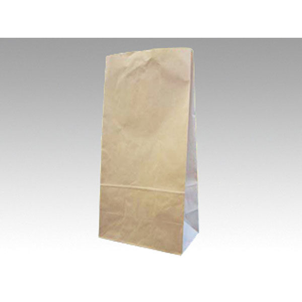 パックタケヤマ 紙袋 角底袋 ハイバッグ H16 未晒無地 XZT00389 1袋(100個)（直送品）
