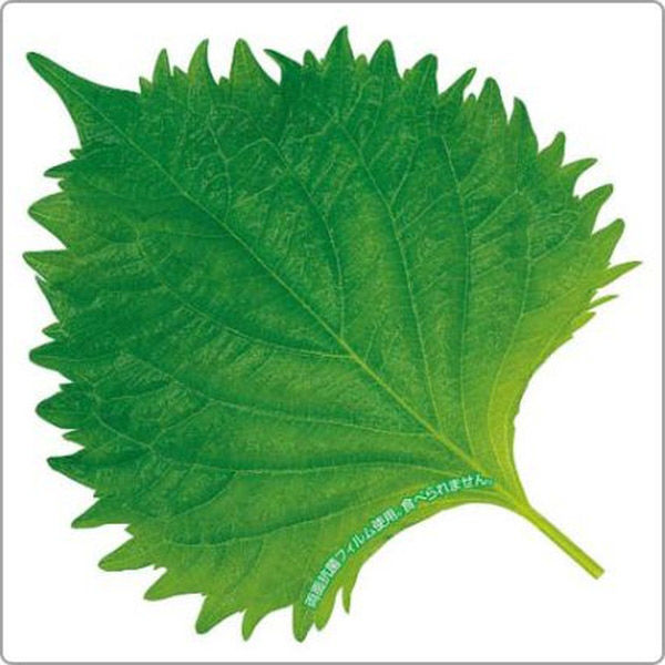 ユニバース フィルムシート グルメシート 抗菌大葉 角 85×85 10113 1袋(1000枚)（直送品）