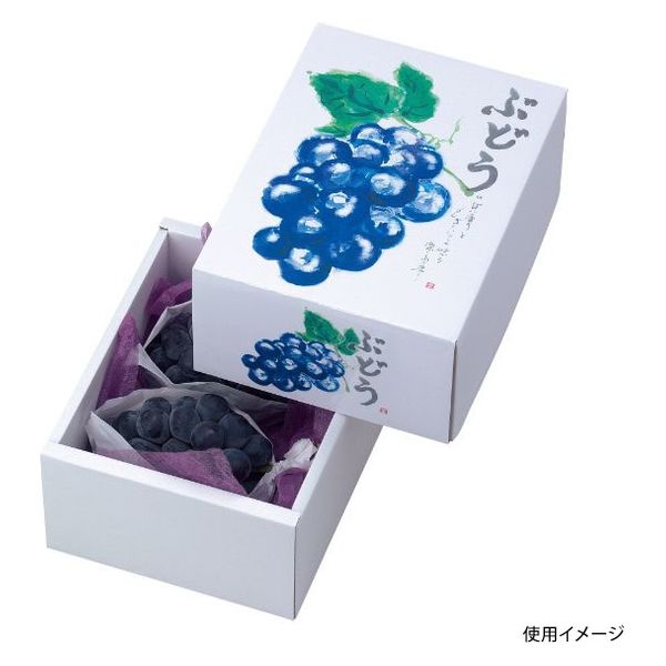 ヤマニパッケージ 青果用贈答箱 もぎたてのぶどう L-2044 40箱（10箱×4）（直送品）