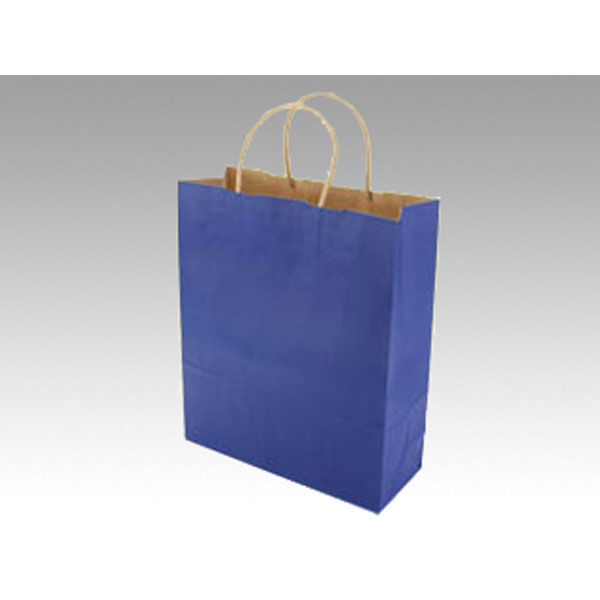 パックタケヤマ 紙袋 手提袋 BT マリン 68625 1袋(50個)（直送品）