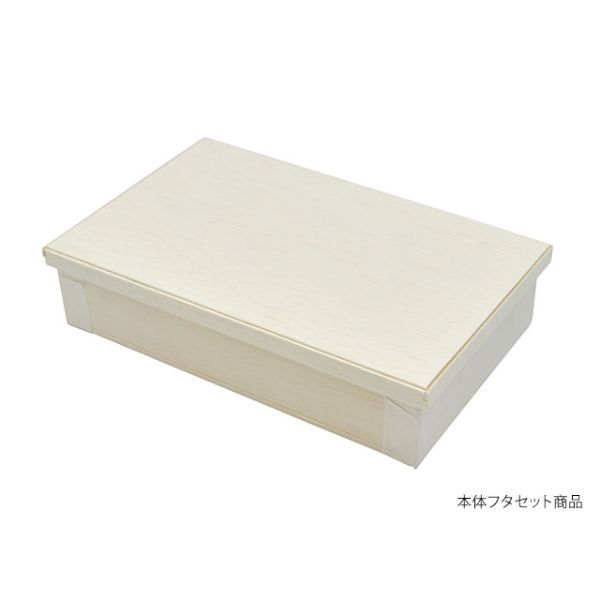 パックスタイル 弁当容器 ファルカタ164-100 セット 650645 1袋(25個)（直送品）