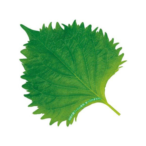 ユニバース フィルムシート グルメシート 抗菌大葉 丸 10111 1袋(1000枚)（直送品）