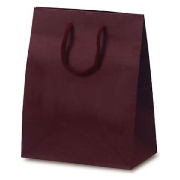 ベルベ 紙袋 手提袋 T-2 カラークラフト ワイン 1024 1袋(10個)（直送品）