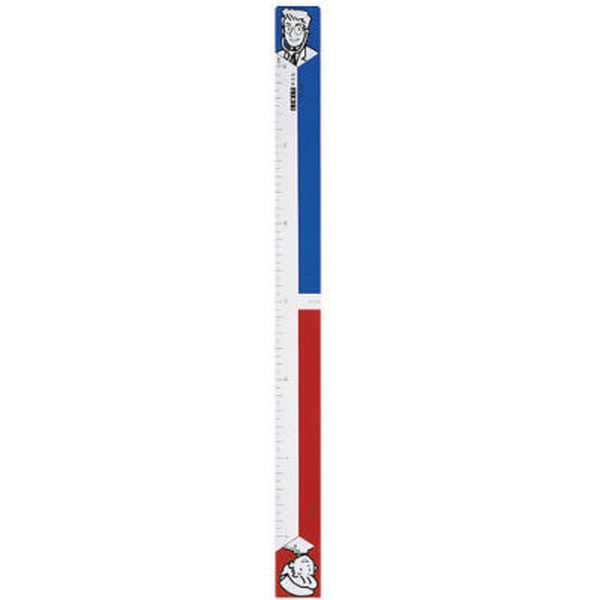 リヒトラブ オーダースケール 24-6601-00 1袋(10枚入)（直送品）