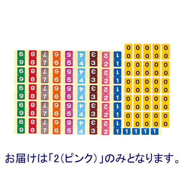 ケルン カルテナンバーラベル 2 KS-763 1袋(250片入)（直送品）