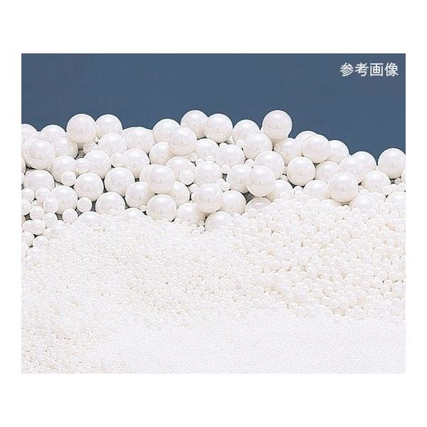 ニッカトー ジルコニアボール φ0.65mm 17111006 1kg 5-4060-26（直送品）