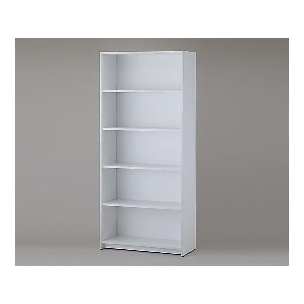 イオスコレクション カルテラック A4タテ5段 820×360×1850mm RFMCS2-5 1個 8-4539-21（直送品）