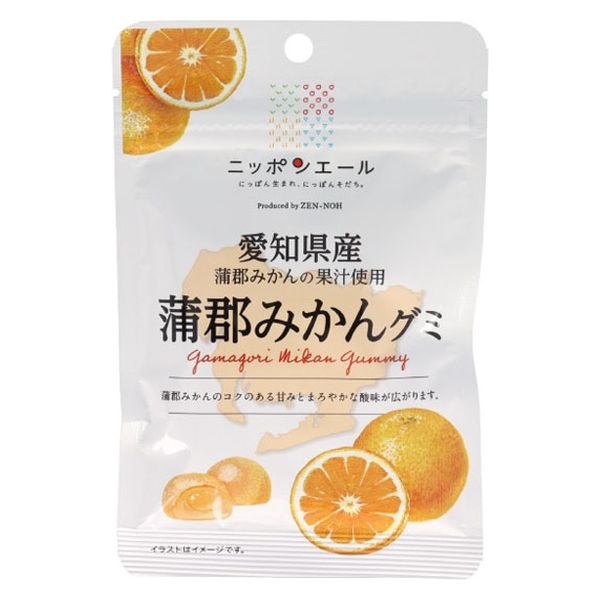 全国農協食品 愛知県産蒲郡みかんグミ 4908012001632 40g×20個（直送品）