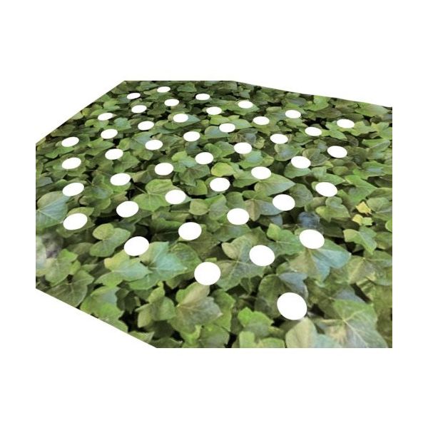 サワヤ 窓・網戸用遮熱シート ドットスクリーン リーフ Lサイズ 4071007DS-L-LEAF 1枚 473-8636（直送品）