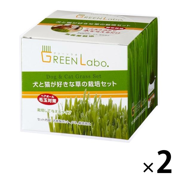 専用ページ（猫　小鳥　蔓植物） imgrc0068549982.jpg