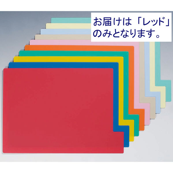 日本ホップス 仕切ガイド　ラテラル　Ｂ５　１色１０枚（１袋） DG-B5L01 1袋（10枚）