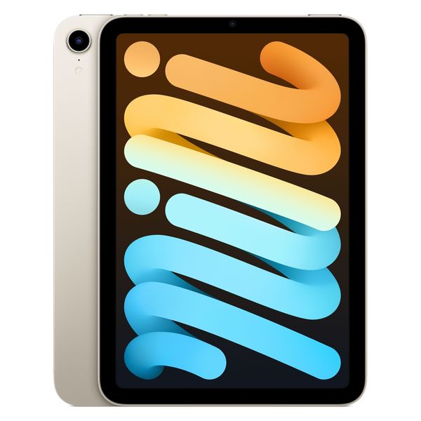 iPad mini Wi‑Fi 256GB - スペースグレイ - iPad
