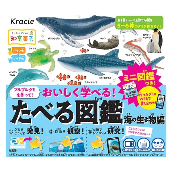 海の生き物を描いてみました。 ひとつひとつ描いた海の生きものたちを、これでもかというほど