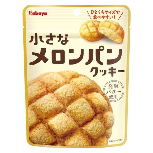 カバヤ食品 カバヤ 小さなメロンパンクッキー 41g x6 4901550129028（直送品）