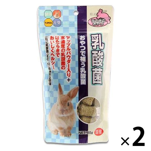 うさぎのおやつ 小動物用 乳酸菌 85g 2袋