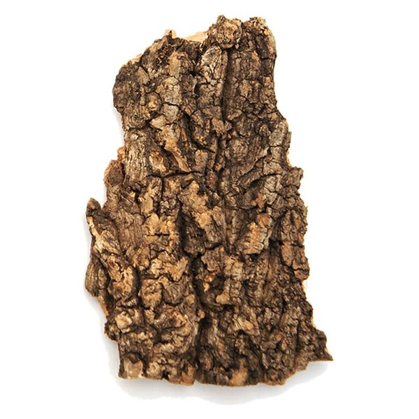 リーフ 形状お任せ 板状コルク樹皮 50g 1枚 247451 1個（直送品）
