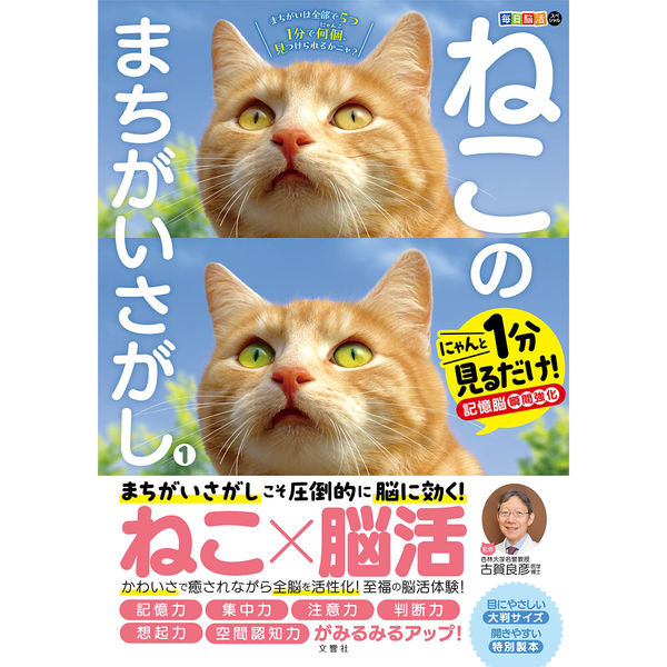 ☆ヤマネコ様ご注文ページ★ Amazon.co.jp: ようこそ!しまや出版癒し課へ : しまや出版, にご