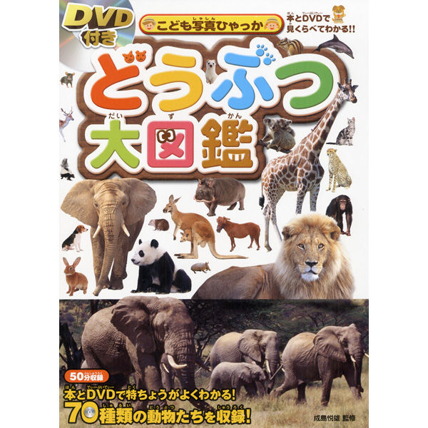 パズル 動物 ライオン ゾウ キリン パンダ - ジグソーパズル