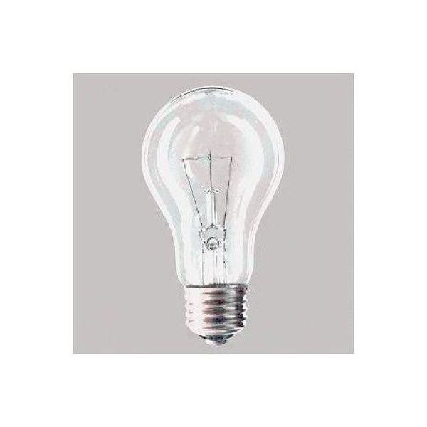 旭光電機工業 クリヤー電球 100V 100W E26口金 LC100V100W60 1個