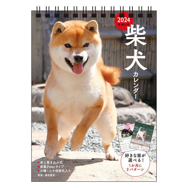 永岡書店 2024年 柴犬 カレンダー 卓上書き込み式 B6タテ 64436 1冊