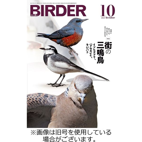BIRDER（バーダー） 2023/11/16発売号から1年(12冊)（直送品）