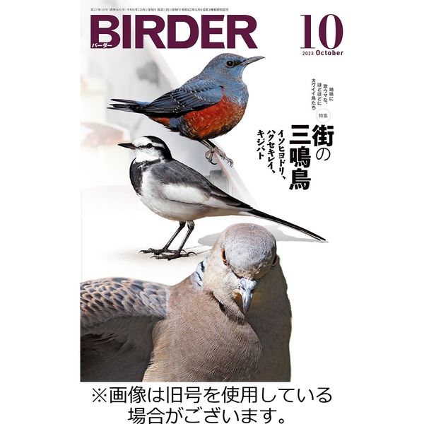 BIRDER(バーダー) - 趣味