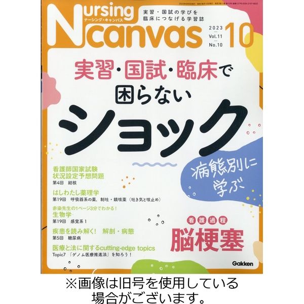 ナーシング・キャンバス 2023/11/10発売号から1年(12冊)（直送品）
