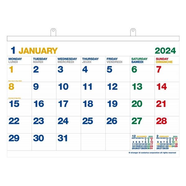 エトランジェディコスタリカ 【2024版】B2 壁掛カレンダー 月曜始まり ホワイト CLK-B2-01 1冊（直送品） - アスクル