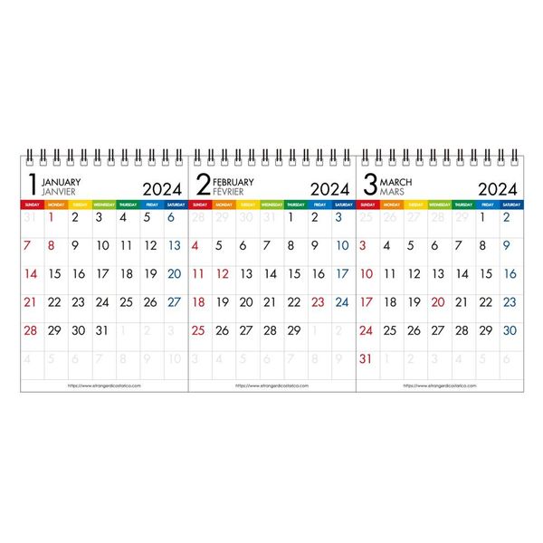 エトランジェディコスタリカ 【2024版】A6 デスク 3カ月 卓上カレンダー 日曜始まり カラーバー CLT-3-01 1セット（2冊）（直送品）