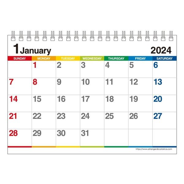 エトランジェディコスタリカ 【2024版】B6 卓上カレンダー 日曜始まり カラーバー CLT-G-12 1セット（2冊）（直送品）