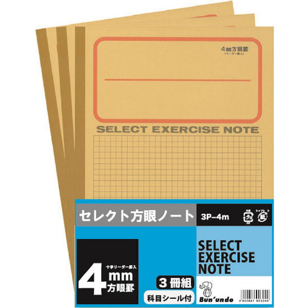 文運堂 学習帳　4ミリ方眼　3冊組 3P-4M 3セット（直送品）