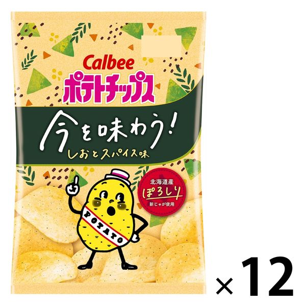 ポテトチップス 今を味わう！しおとスパイス味 12袋 カルビー スナック菓子 北海道産 新じゃが