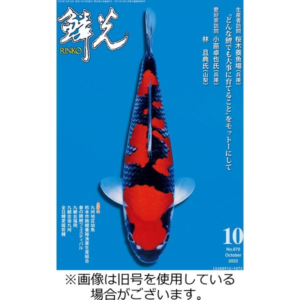 鱗光 2024/01/15発売号から1年(12冊)(直送品)