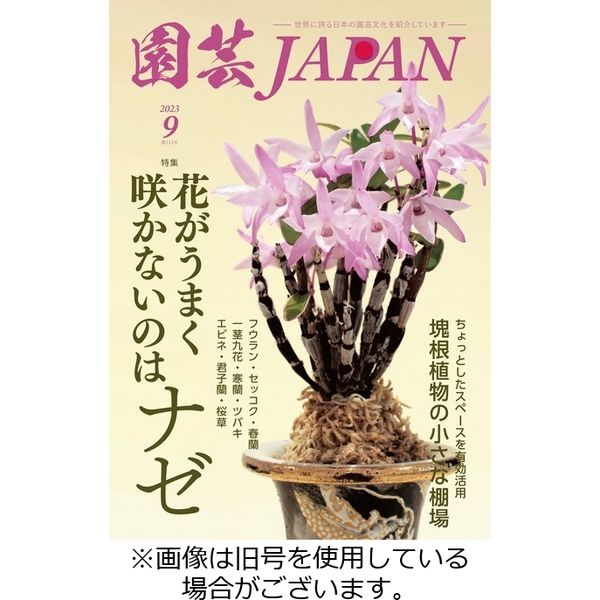 園芸Japan 2023/12/12発売号から1年(12冊)（直送品）