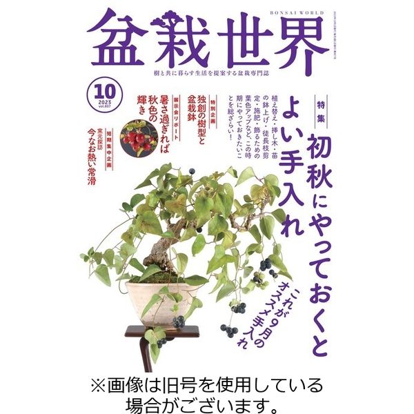 盆栽世界 2023/12/04発売号から1年(12冊)（直送品）