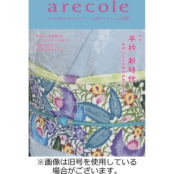 月刊アレコレ 2023/11/05発売号から1年(12冊)（直送品）