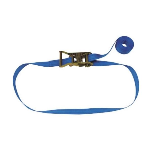 テザック TESAC ラッシングベルト(ベルト荷締機)ラチェットバックル式エンドレスタイプ R20N025000A 1台 226-1830（直送品）