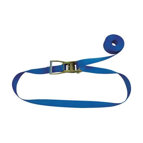 テザック TESAC ラッシングベルト(ベルト荷締機)ラチェットバックル式エンドレスタイプ R50N100000A 1台 226-1810（直送品）