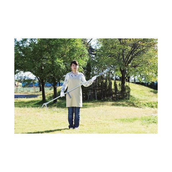 五十嵐刃物工業 鋼典 伸縮ラッチェット式 高枝切鋏 鋸付 RT-05 1丁 127-2883（直送品）