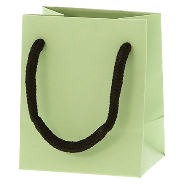 ＨＥＩＫＯ 手提げ紙袋　ブライトバッグ Ｔー５ ピスタチオ（マットタイプ） 006143348 1セット(10枚入×5袋 合計50枚)（直送品）