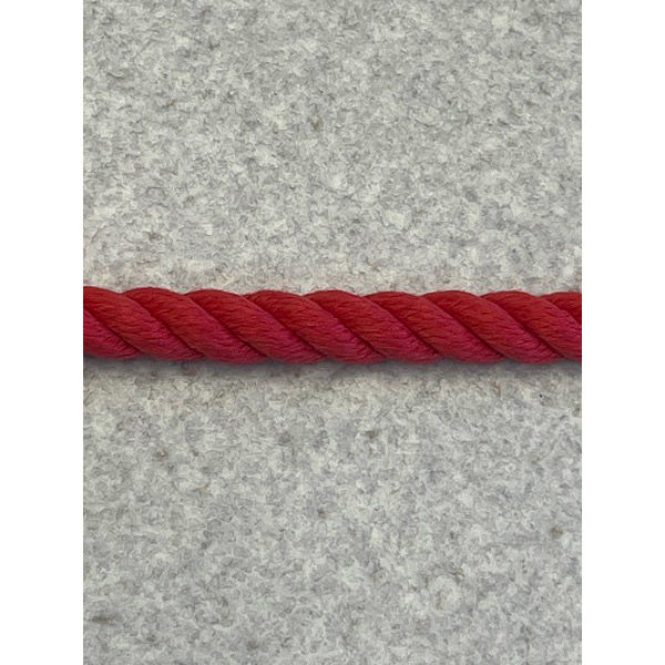 名古屋製鋼 ポリエステルスパンロープ 赤 12ｍｍ×100ｍ 1巻（直送品）