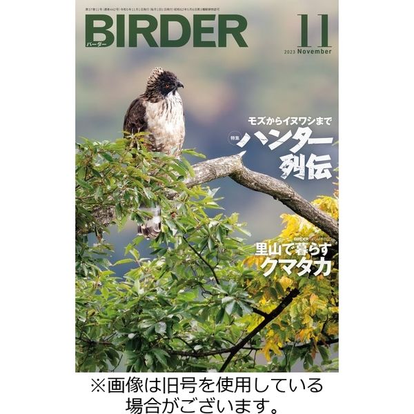 BIRDER（バーダー） 2024/02/16発売号から1年(12冊)（直送品）