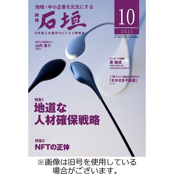 月刊 石垣 2024/02/10発売号から1年(12冊)（直送品）