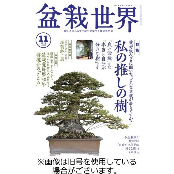 盆栽世界 2024/02/04発売号から1年(12冊)（直送品）