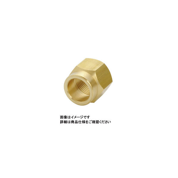 日本ピスコ ブラス製締付継手 締付ナットのみ NKN4 1セット(40個)（直送品）